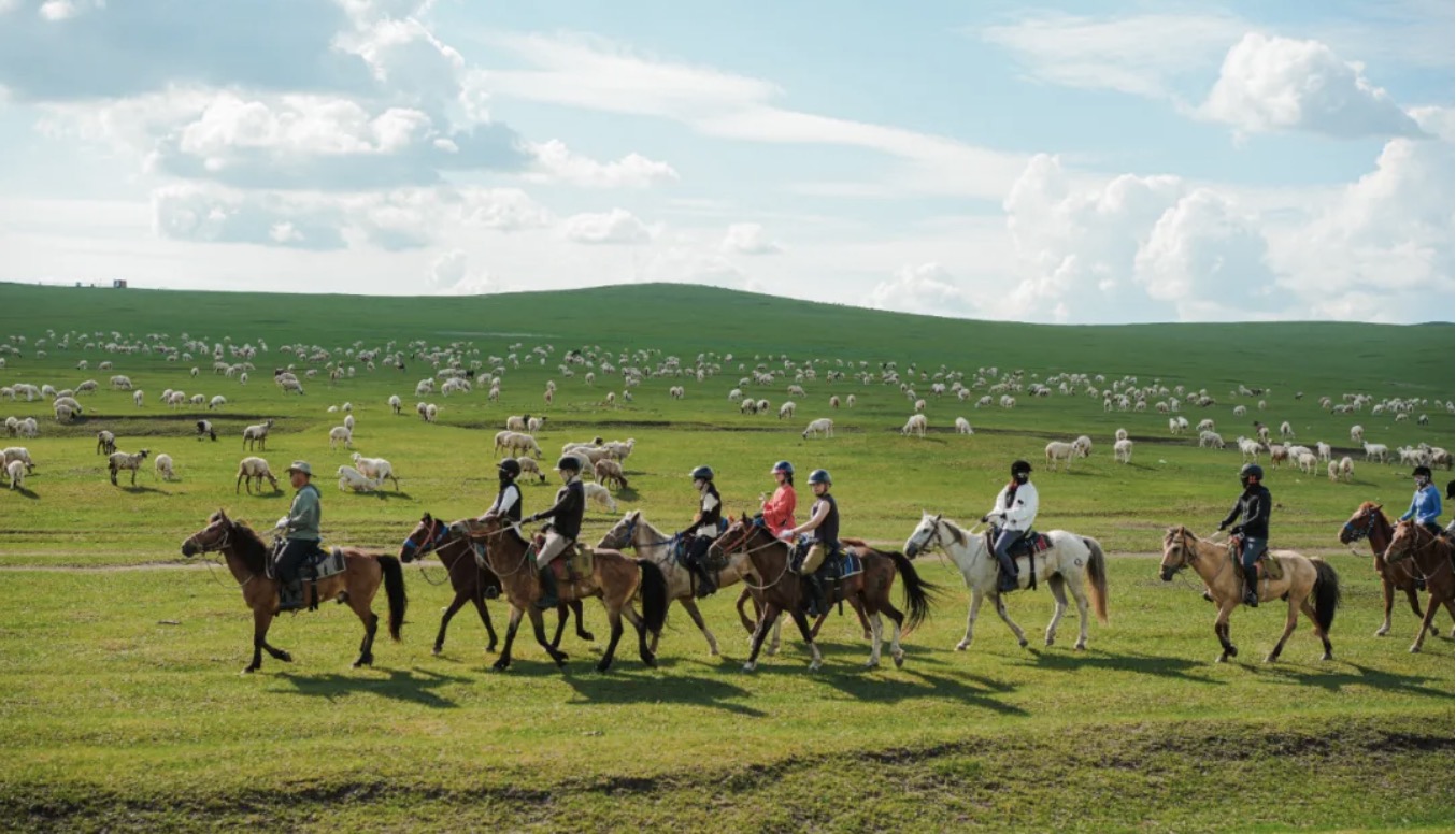 Experience the ultimate wild horseback riding in Hulunbuir!