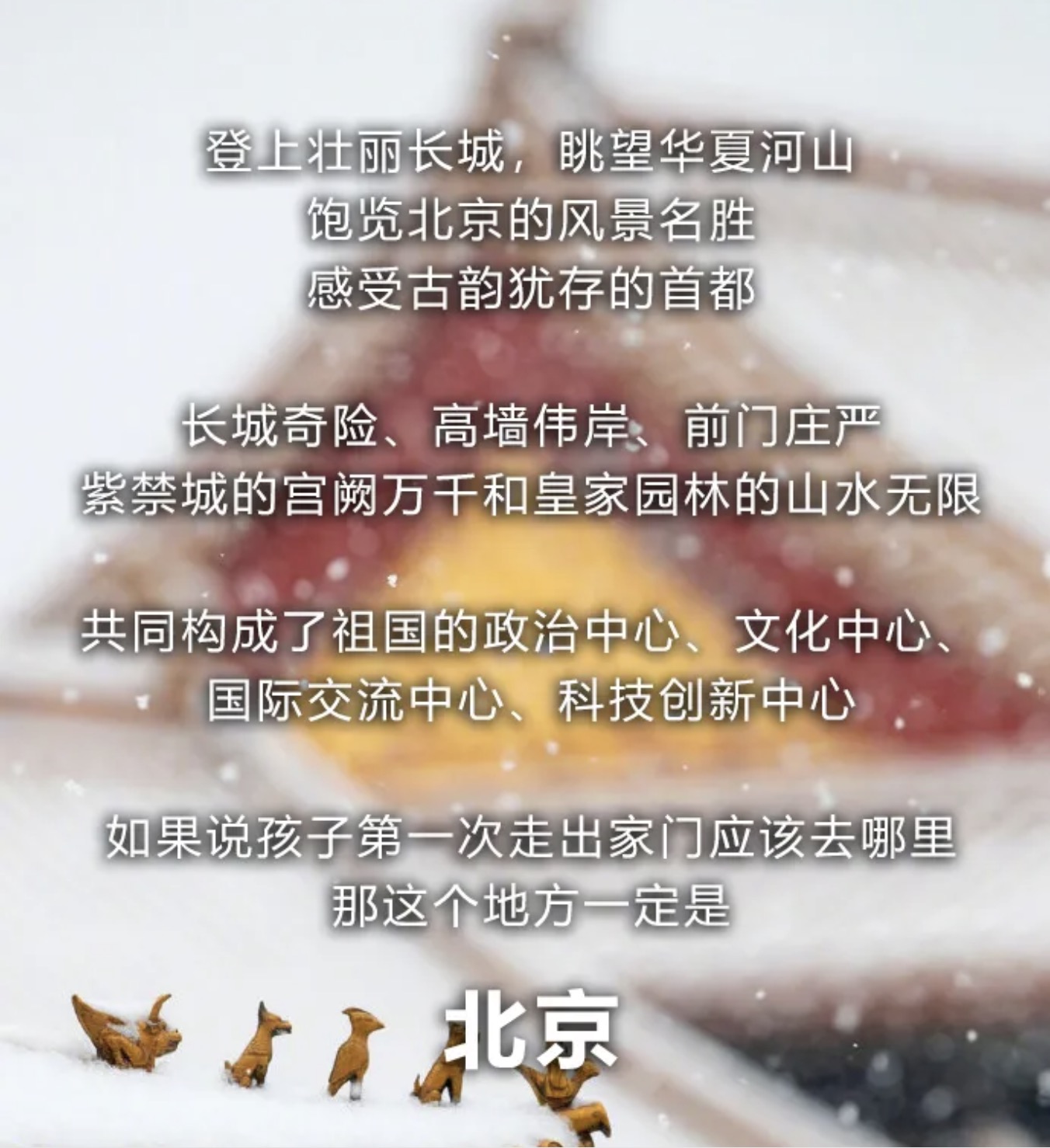 1737531521186.jpg